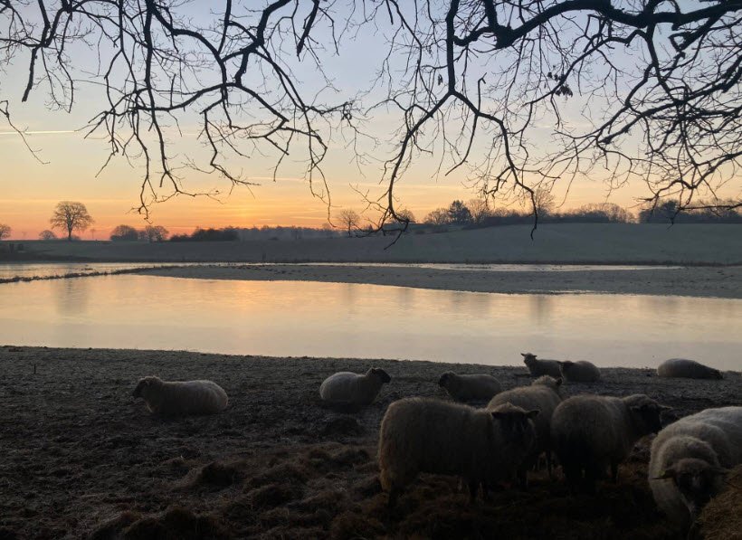 Hof Seekamp, Germany